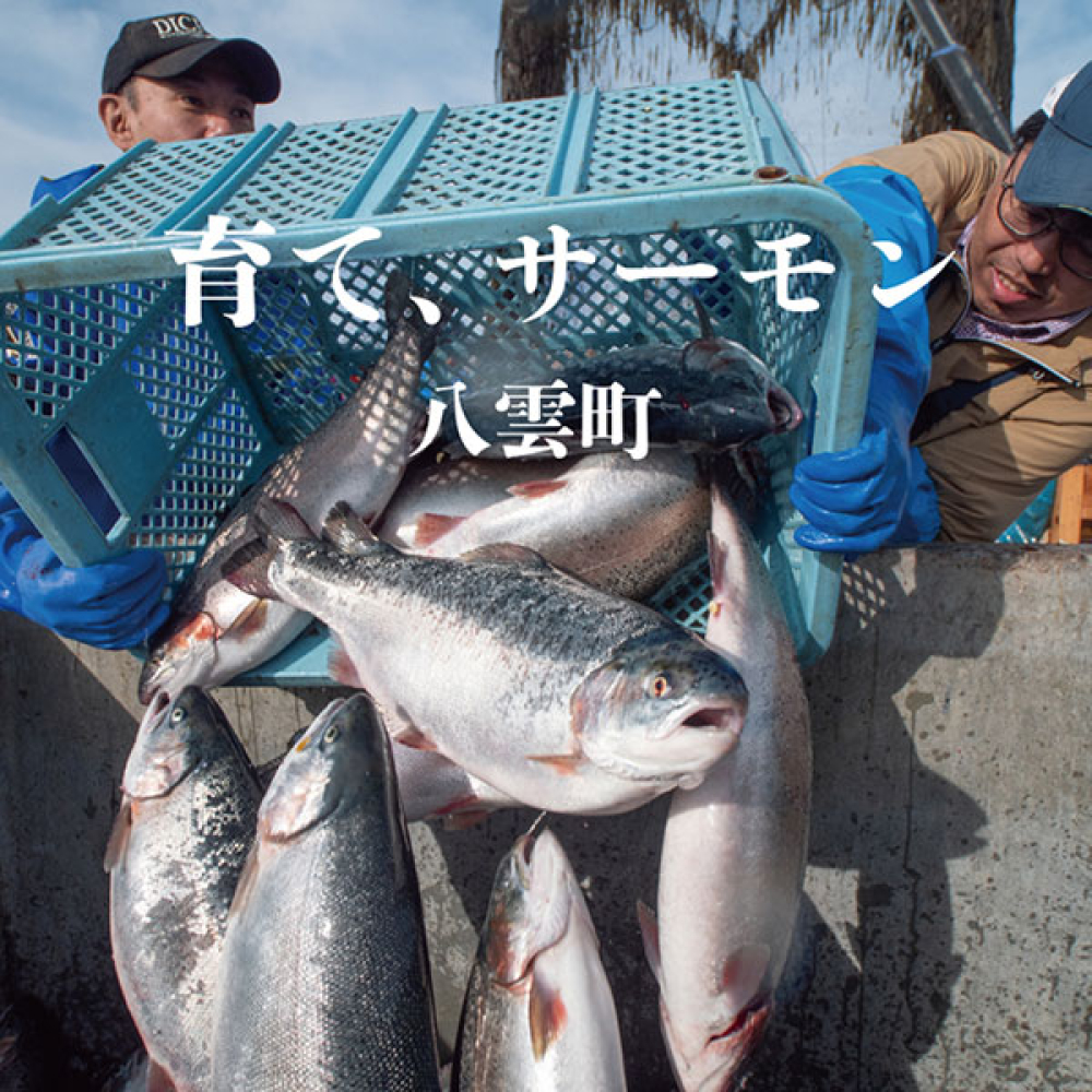 AFCウェブ Vol.227が公開されました！特集は「育て、サーモン」。今月のプレゼントもお見逃しなく