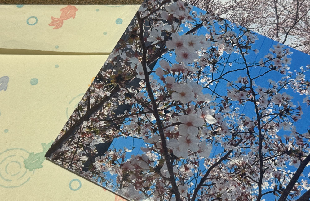 今月のよみもの：朝カフェ『桜前線を超えて、届いた手紙』＆あささんぽみち『地域に根ざし、人に寄り添う』