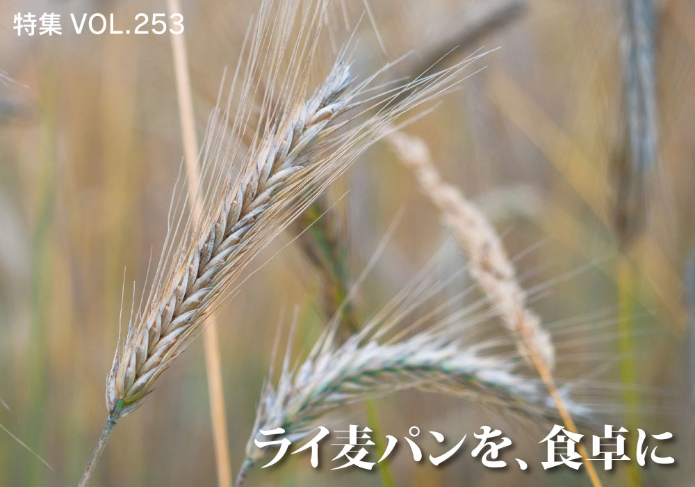 AFCウェブ Vol.253が公開されました！特集は『ライ麦パンを、食卓に』。今月のプレゼントもお見逃しなく