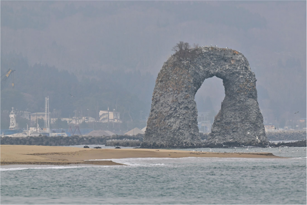 朝カフェ　北海道の小さなお話
