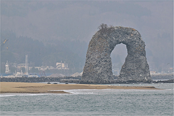 よみもの「奥尻島の縁結び」の見出し画像です