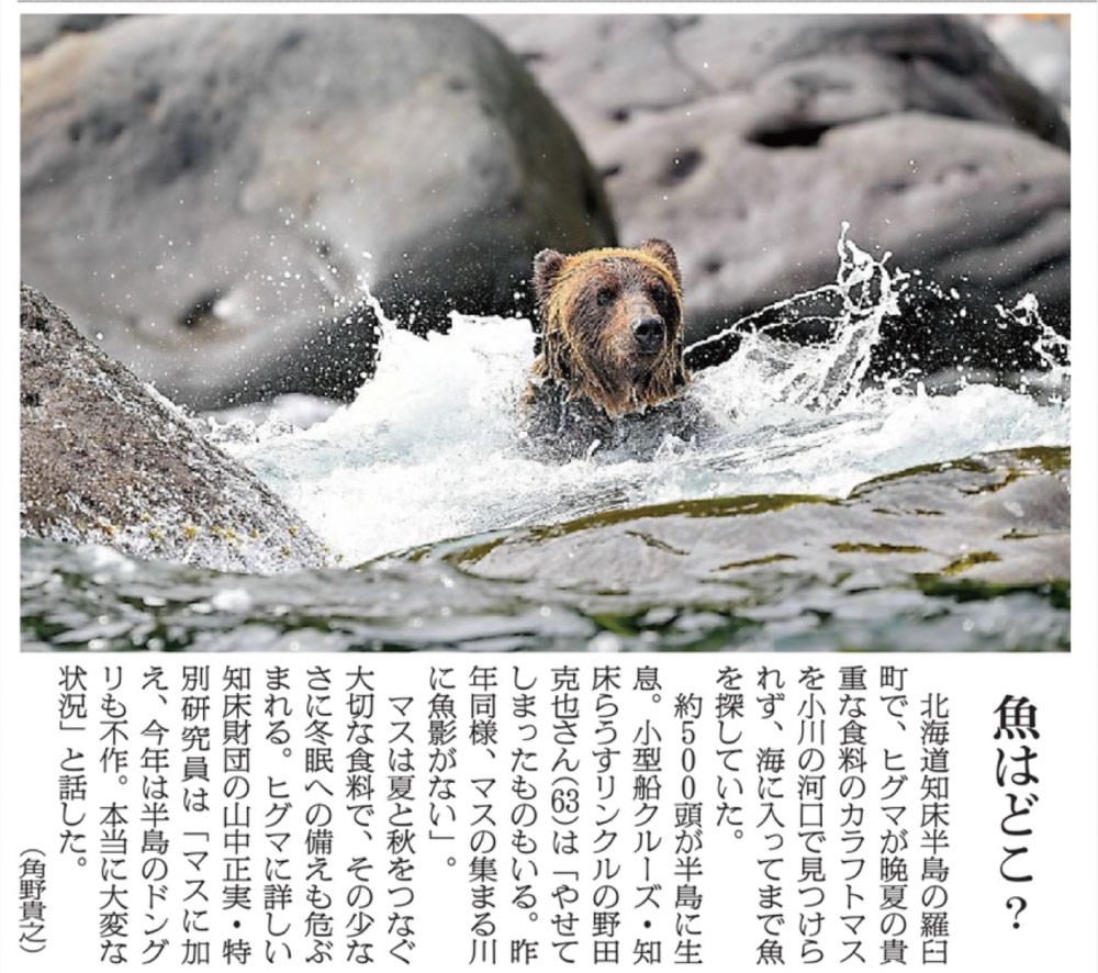 新聞記者に聞いてみた