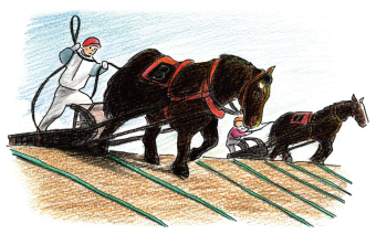 よみもの「雪に願うこと」の見出し画像です