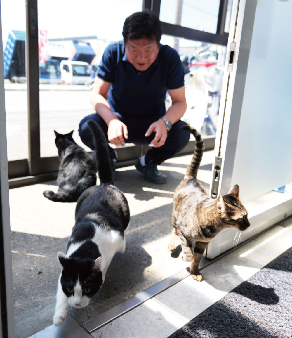 あささんぽみち