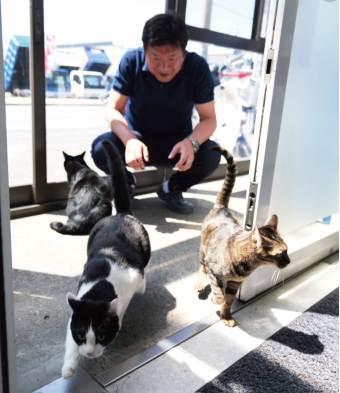 よみもの「3匹の猫と共に」の見出し画像です