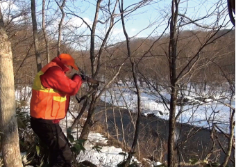 よみもの「熟練ハンターの「遺言」」の見出し画像です