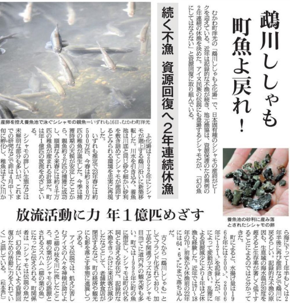 新聞記者に聞いてみた