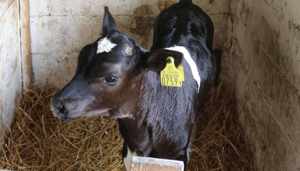 朝カフェ　北海道の小さなお話