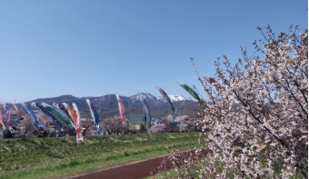 よみもの「新聞販売で人生が一転」の見出し画像です