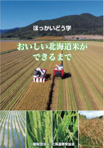 よみもの「おいしい北海道米ができるまで」の見出し画像です