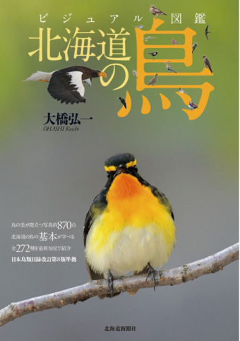 よみもの「ビジュアル図鑑 北海道の鳥」の見出し画像です