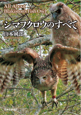 よみもの「シマフクロウのすべて」の見出し画像です