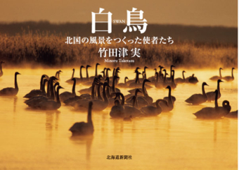 よみもの「白鳥　北国の風景をつくった使者たち」の見出し画像です