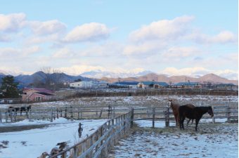 よみもの「日高で受け継がれる、暮らしと新聞」の見出し画像です