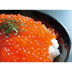 プレゼント「マルワフーズ 鱒いくら醤油漬け250g」の画像です