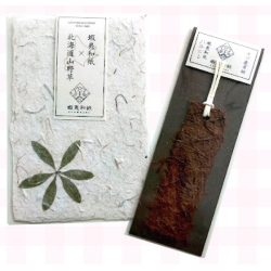 プレゼント「蝦夷和紙工房 紙びより 北海道山野草＆蝦夷和紙のはがきとしおり」の画像です