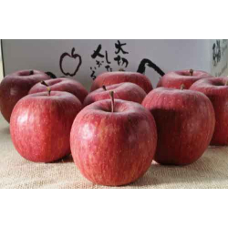 プレゼント「隆昭園 青森りんごサンふじ」の画像です