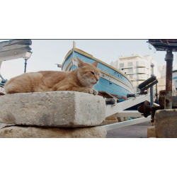 プレゼント「シアターキノ 映画鑑賞券」の画像です